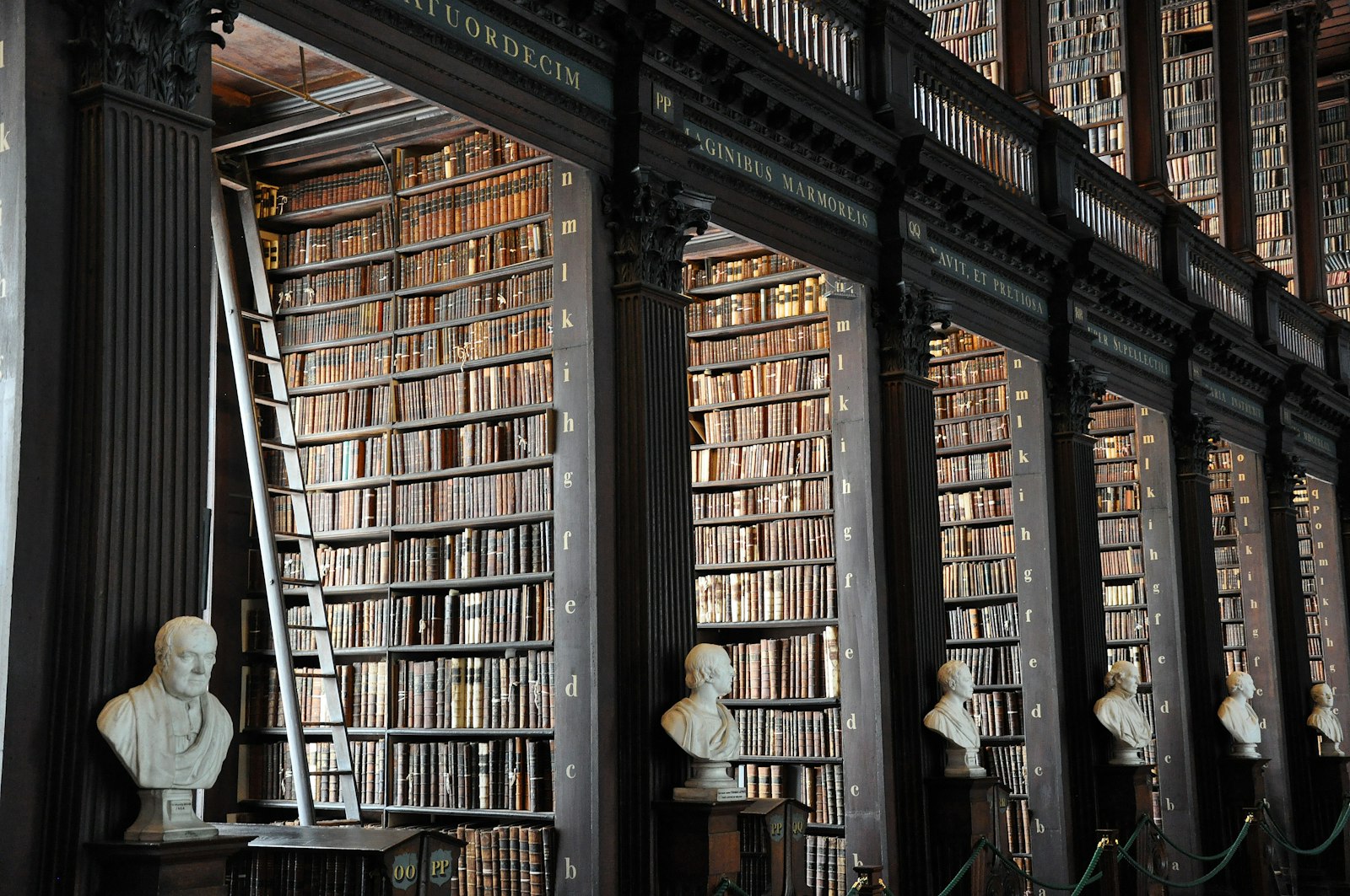 Longue bibliothèque ancienne aux hautes étagères remplies de livres anciens, avec des bustes en marbre et une échelle de bibliothèque