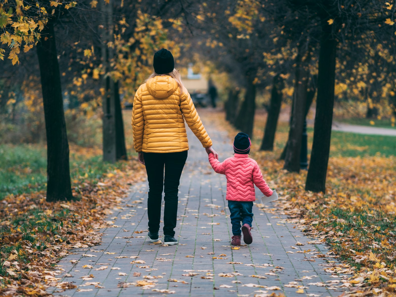 Une mère et son enfant marchent main dans la main dans une allée bordée d'arbres en automne, vus de dos