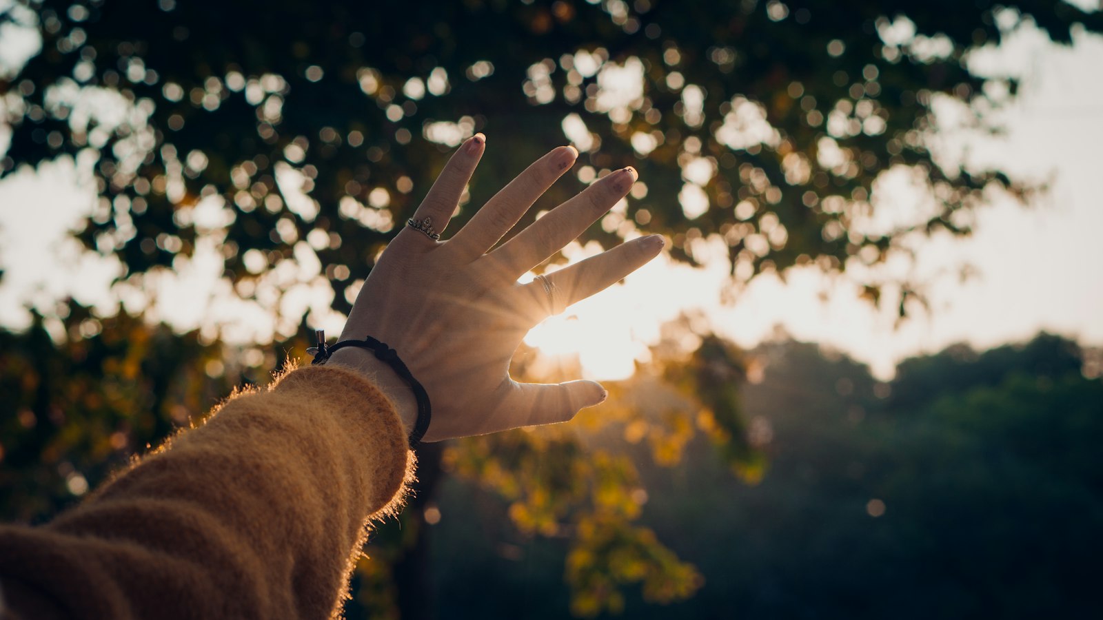 Main tendue vers la lumière du soleil qui traverse le feuillage des arbres