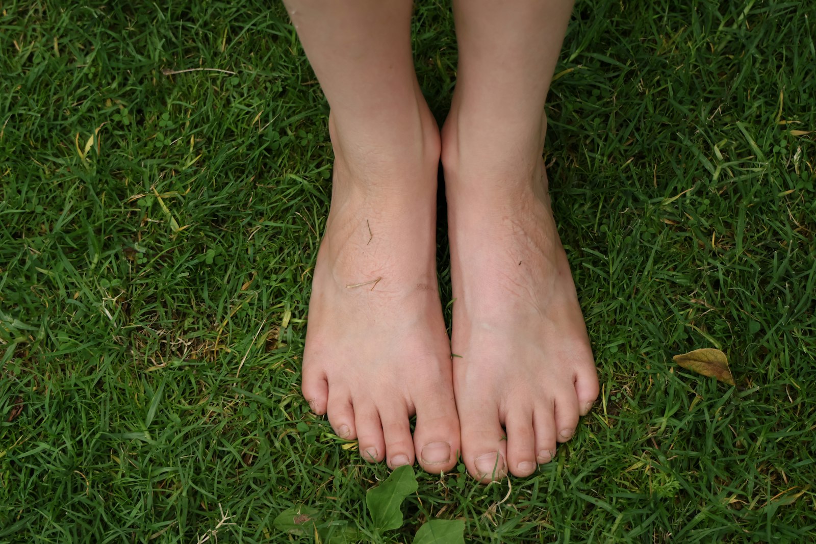Pieds nus posés à plat sur l'herbe verte